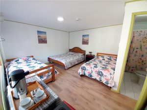 Cabañas-Rucalen---Cabaña-03---F001---Cabañas-Calle-Benavente-762