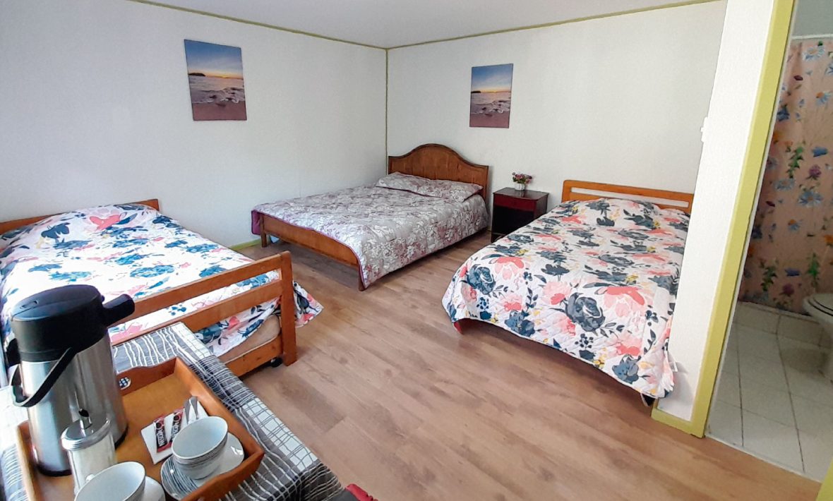 Cabaña N°03 – Benavente