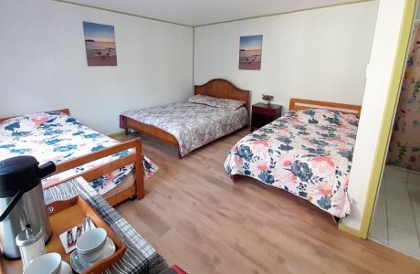 Cabaña N°03 – Benavente