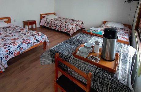 Cabaña N°02 – Benavente