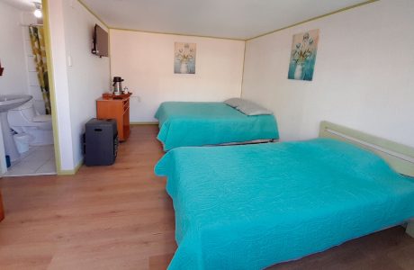 Cabaña N°06 – Benavente