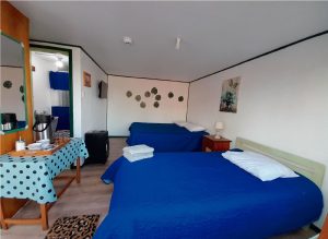 Cabañas-Rucalen---Cabaña-07---F002---Cabañas-Calle-Benavente-762 Cabañas-Rucalen---Cabaña-07---F002---Cabañas-Calle-Benavente-762