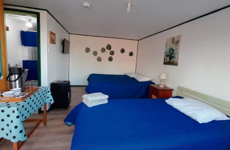 Cabaña N°07 – Benavente